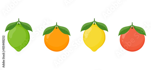 Large vector set of citrus fruits: orange, lemon, and lime icons.