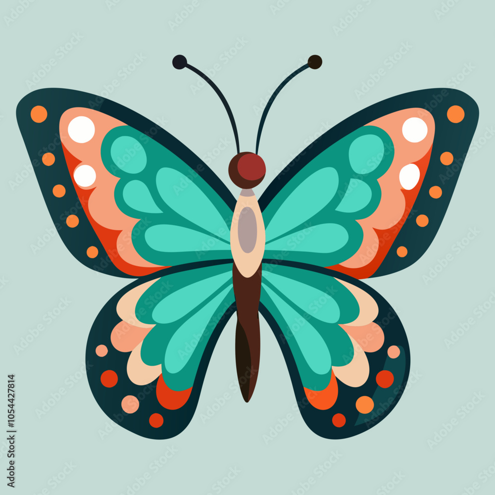 butterfly on white background butterfly on white background