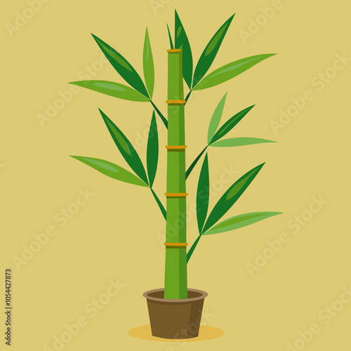 bamboo in a vase