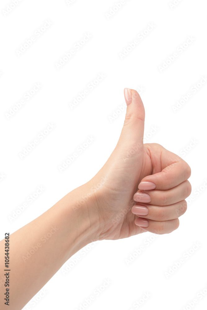 Woman hands with nude manicure isolated on a white background. Woman hands with nude manicure isolated on a white background.