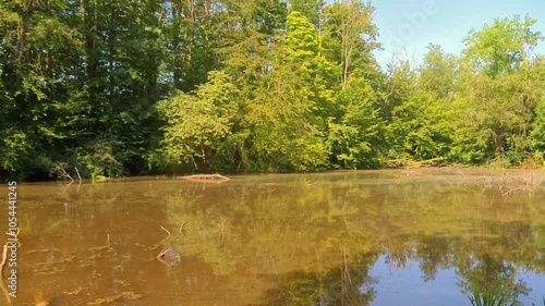 idyllischer Teich umringt von großen Bäumen bei sonnigem Wetter, See, Natur, Landschaft, Naturschutz
 photo