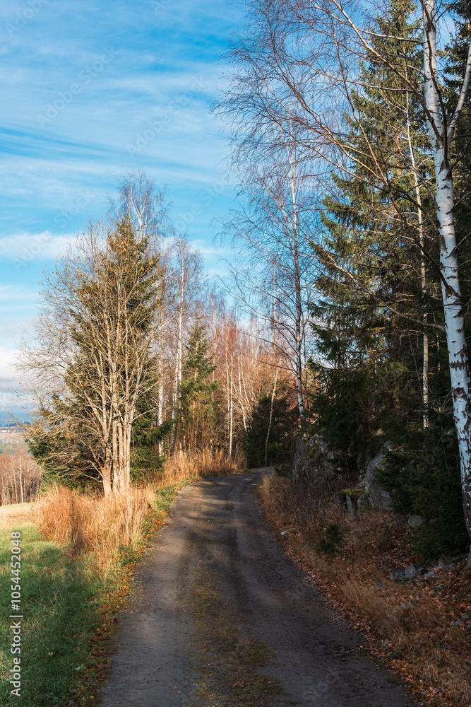 A country road of Øverskreien, Toten, Norway, in October. A country road of Øverskreien, Toten, Norway, in October.