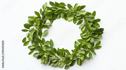 Cluster of mistletoe leaves arranged in a circular pattern on a white backdrop, studio photo