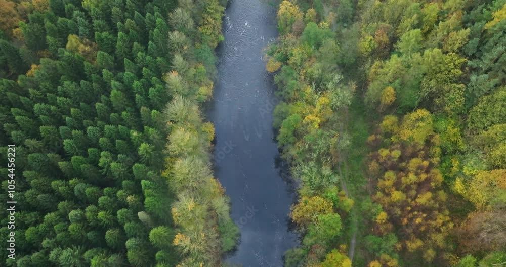 Aerial top down shot of river in the forest Aerial top down shot of river in the forest