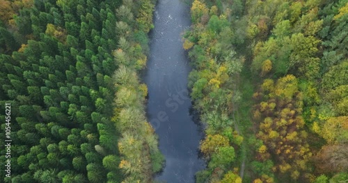 Aerial top down shot of river in the forest