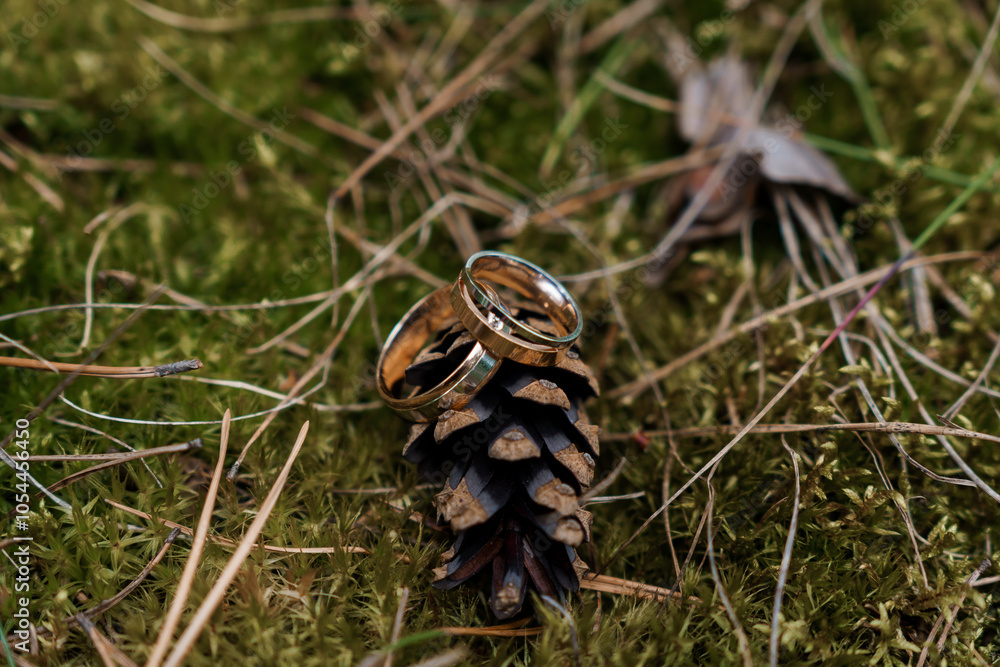 Wedding Rings Resting on a Pinecone Surrounded by Lush Green Moss Wedding Rings Resting on a Pinecone Surrounded by Lush Green Moss