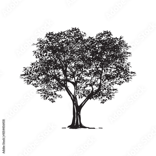 Birds Tree png Icon isolated