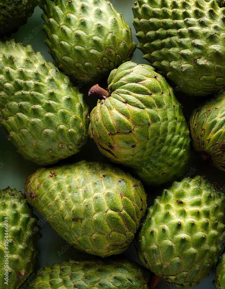 Soursop fruit, Creative background design with food theme, focus on the pile of fresh Soursop fruit Soursop fruit, Creative background design with food theme, focus on the pile of fresh Soursop fruit