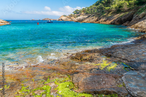 Wallpaper Mural Calas de Aguafreda y Sa Tuna, Begur, Catalonia, Spain Torontodigital.ca