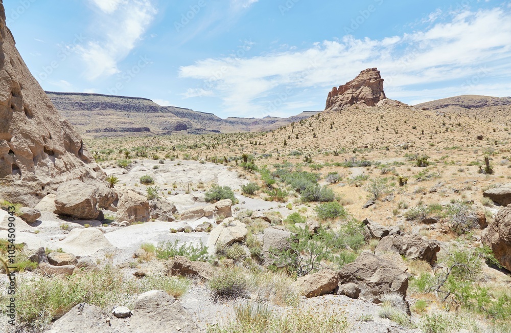 Fototapeta premium The Rings Loop Trail at California's Mojave National Preserve