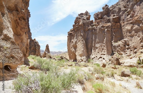 The Rings Loop Trail at California's Mojave National Preserve photo