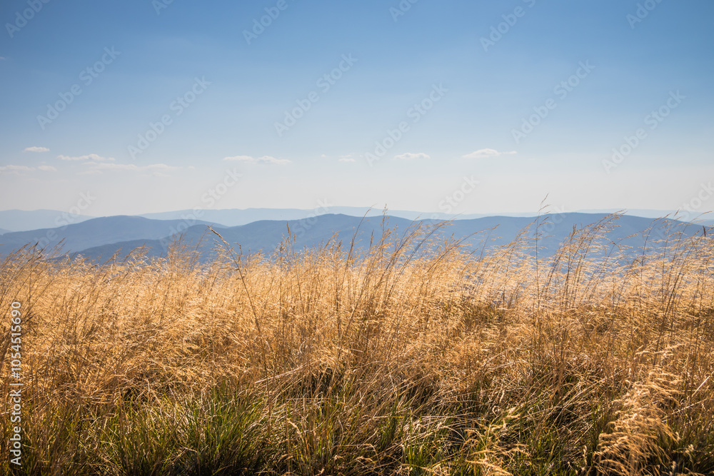 Obraz premium A Breathtaking Stunning Mountain View Across the Vibrant Grassland on a Beautiful Clear Day