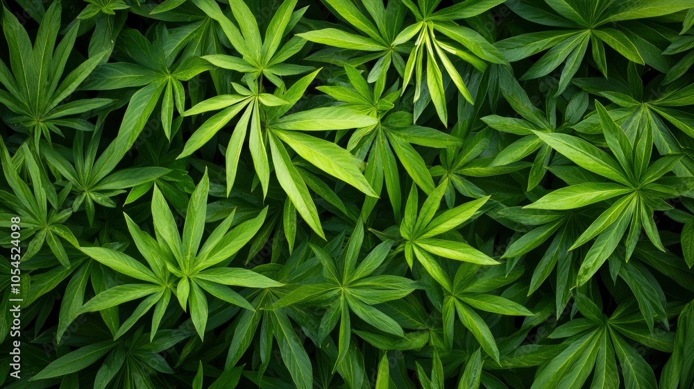 Full Frame of Green Leaves Pattern Background, Nature Lush Foliage Leaf Texture , tropical leaf Full Frame of Green Leaves Pattern Background, Nature Lush Foliage Leaf Texture , tropical leaf