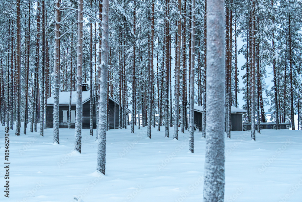 Fototapeta premium empty cabin snowy woods