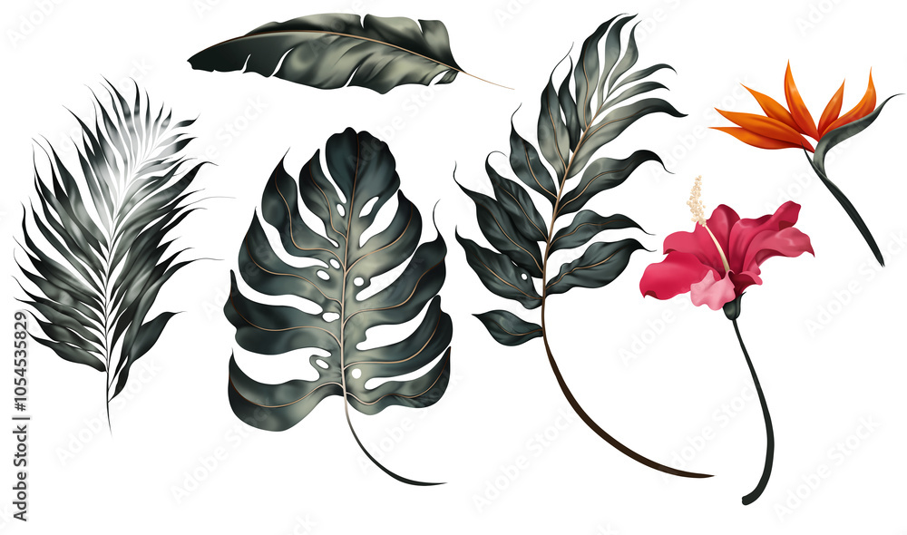 Obraz premium set of tropical flowers