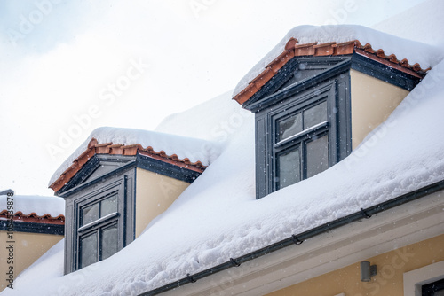 Snow-covered rooftops with dormer windows in a winter landscape showcasing serene beauty during a snowfall