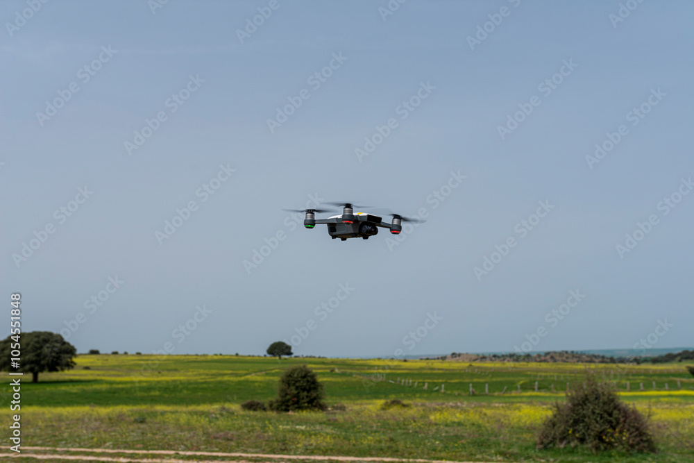 Fototapeta premium dron sobrevolando campos en flor primavera 2024
