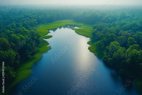 Aerial view of a serene blue water lake surrounded by lush green forest during early morning light