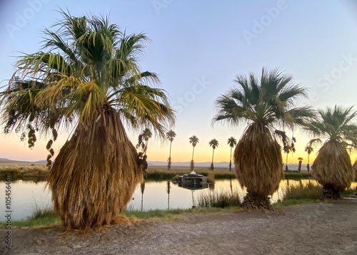 Zzyzx Road desert research station oasis and palm lined pond near Baker, CA on the way to Las Vegas on I15, Mojave Desert. 