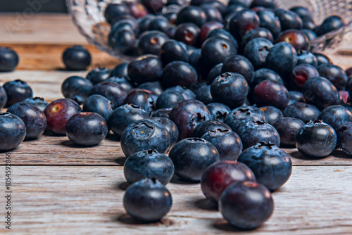 Wallpaper Mural  It is smaller and has a more intense flavor Low-year blueberry (Vaccinium angustifolio) Torontodigital.ca
