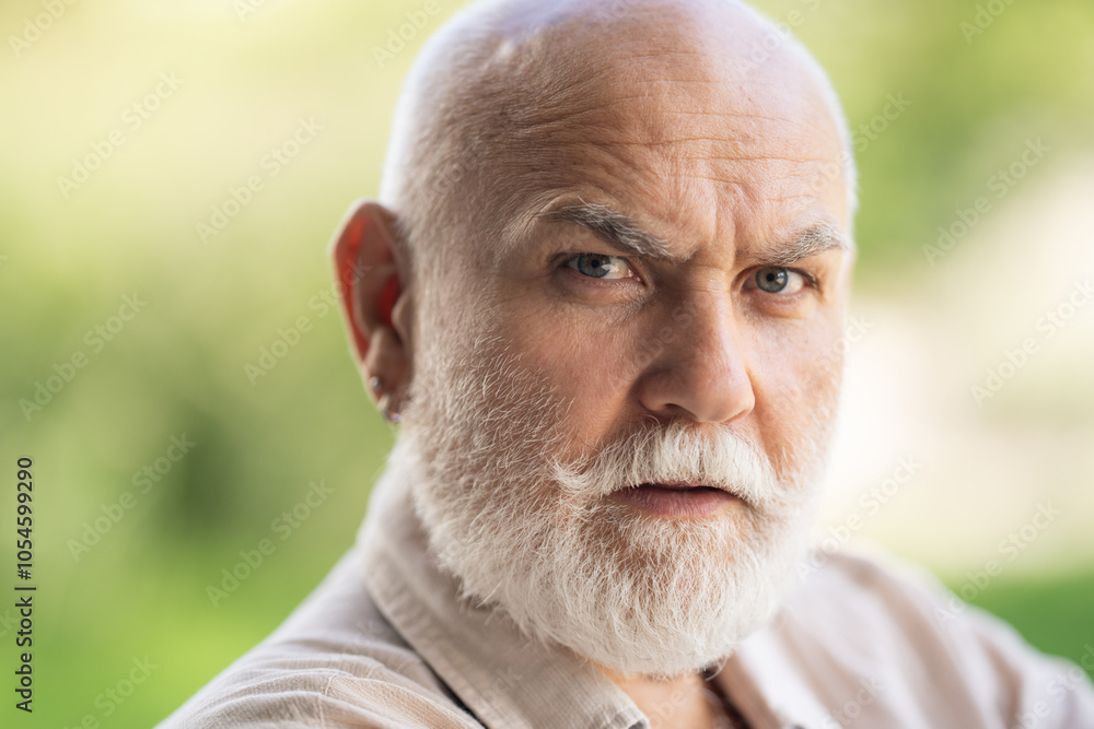 Old man with Grey hair and white beard. Bearded Senior man. Face of bearded senior age man. Headshot of bald pensioner, retiree concept. Closeup portrait of an old mature senior man with grey beard. Old man with Grey hair and white beard. Bearded Senior man. Face of bearded senior age man. Headshot of bald pensioner, retiree concept. Closeup portrait of an old mature senior man with grey beard.
