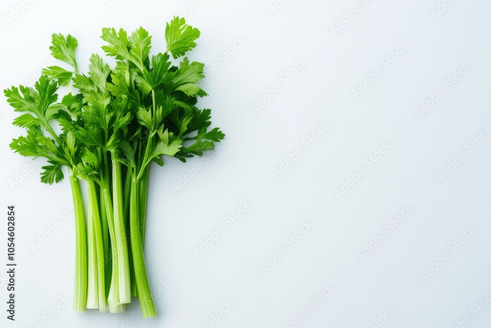Fresh celery stalks isolated on a clean white background illustrating their vibrant green color and crisp texture perfect for cooking or snacking Fresh celery stalks isolated on a clean white background illustrating their vibrant green color and crisp texture perfect for cooking or snacking