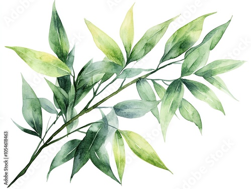 A watercolor illustration of a branch with green leaves.