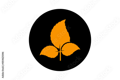 Autumn Leaf icon vector logo template ,eco leaf design