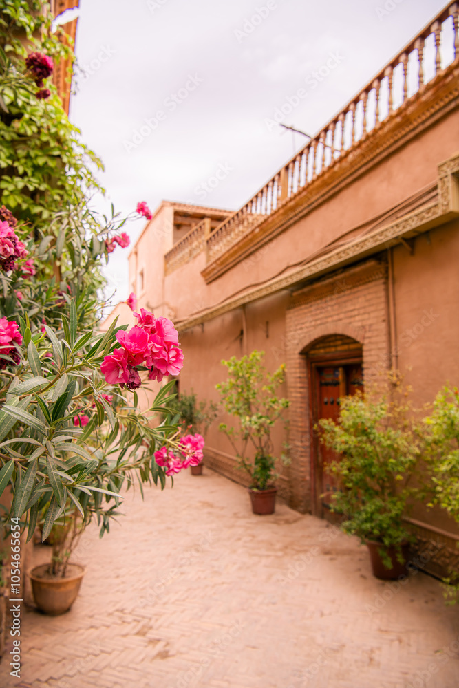 Naklejka premium Oleander flowers on the streets of the red city of Kashgar, Xinjiang, China