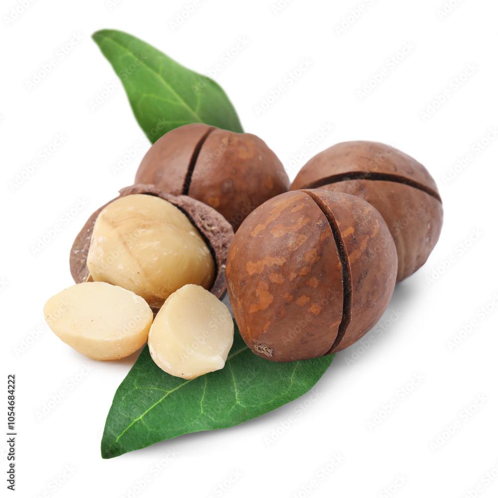 Macadamia nuts and green leaves on white background Macadamia nuts and green leaves on white background