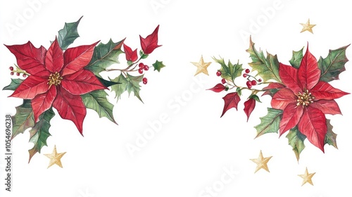 Fototapeta Naklejka Na Ścianę i Meble -  Watercolor painting of poinsettia flowers and holly with golden stars.