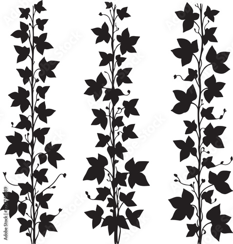 Vertical ivy plant branch silhouette vector art illustration