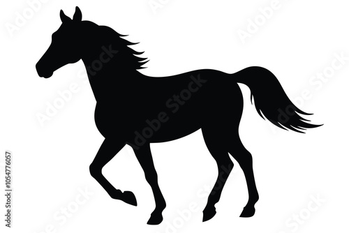 horse silhouette isolated on white