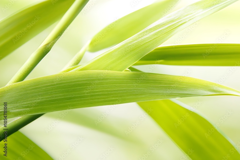 Vibrant Green Leaves CloseUp with Bright Light for Fresh Nature and Botanical Themes : Generative AI