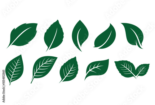 Set of green leaf ecology icon, leaf isolated on transparent background. Environment and Nature Symbol, Vector template