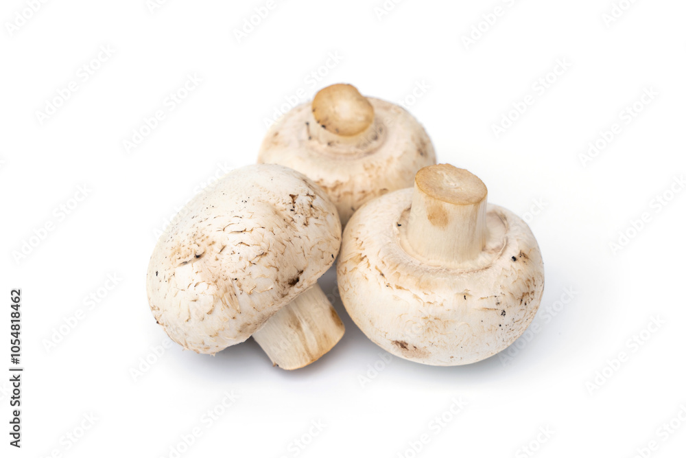 Whole fresh white champignon mushroom isolated on white background. Whole fresh white champignon mushroom isolated on white background.