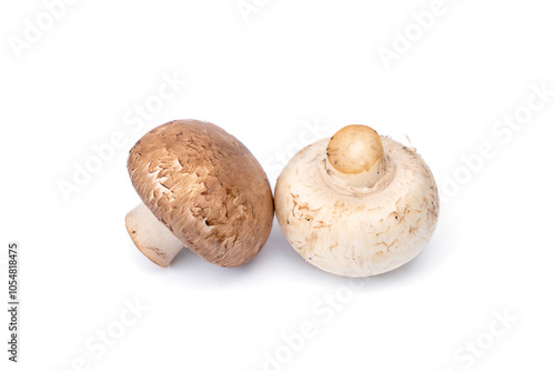 White and brown whole fresh champignon mushroom isolated on white background. photo