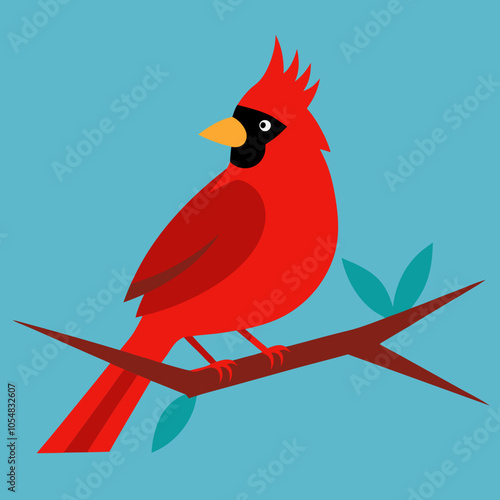 a single cardinal bird love Cardinal  perched on a tree branch