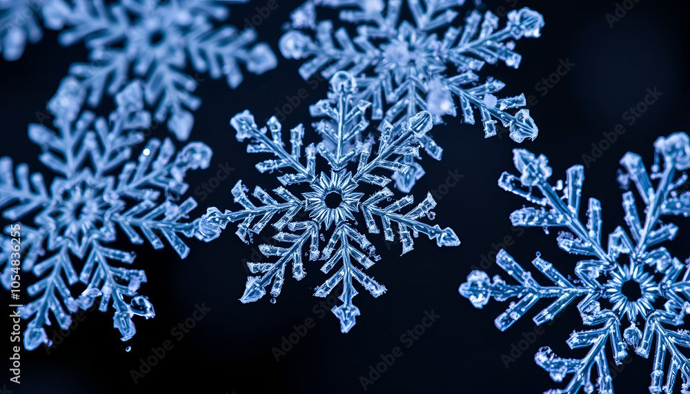 Close-up of snowflakes with intricate patterns on a dark background, highlighting natural beauty and detail Close-up of snowflakes with intricate patterns on a dark background, highlighting natural beauty and detail