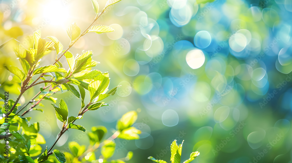 Fresh spring blue sky background with a warm, sunny glow. Fresh spring blue sky background with a warm, sunny glow.