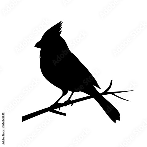 Cardinal silhouette bird on a branch of a tree
