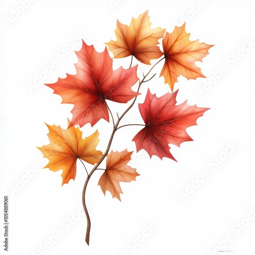 Colorful autumn leaves on a branch, showcasing vibrant hues of red and orange, perfect for seasonal decoration.