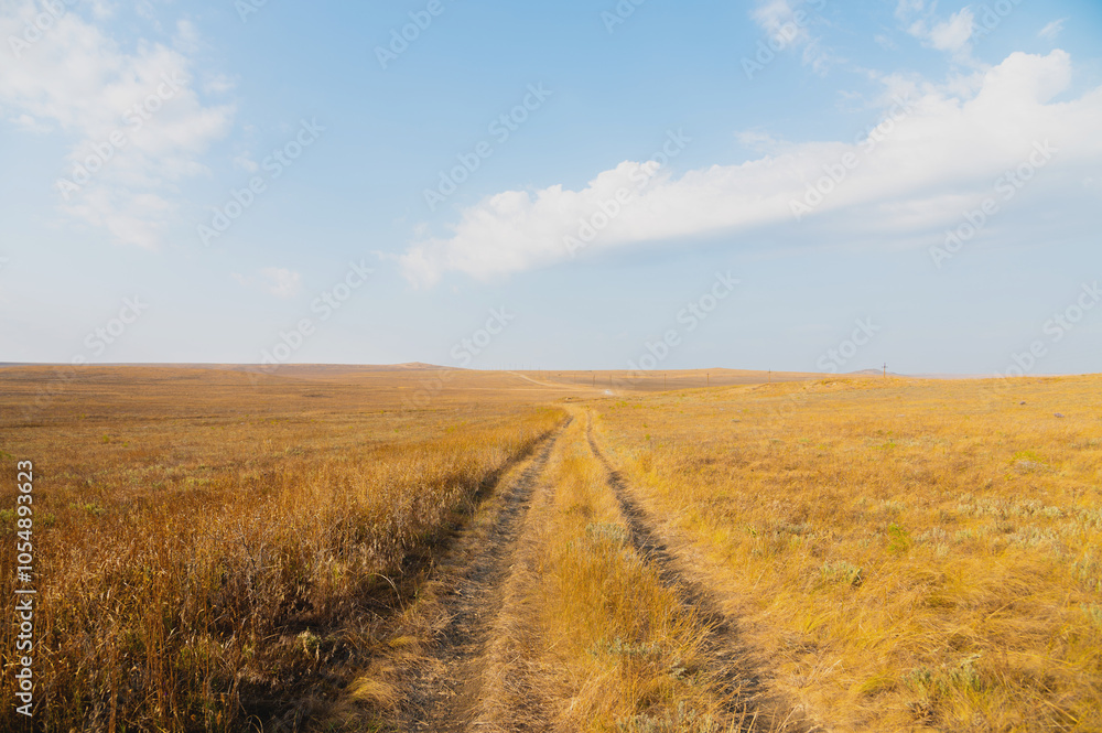 Road running between fields in autumn. Sunny landscape with off-road and thickets Road running between fields in autumn. Sunny landscape with off-road and thickets