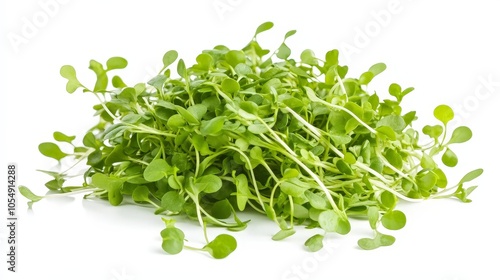 A bunch of freshly cut microgreens, with small, delicate leaves ready for salads or sandwiches, isolated on a white background