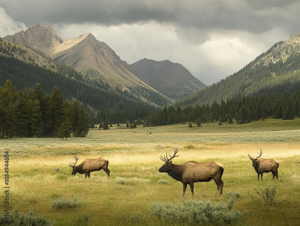 A wildlife preservation effort focusing on creating wildlife corridors between national parks to ensure genetic diversity. A wildlife preservation effort focusing on creating wildlife corridors between national parks to ensure genetic diversity.