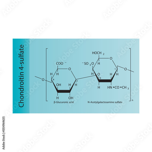 Chondroitin 4-sulfate skeletal structure diagram.Polysaccharide  compound molecule scientific illustration.