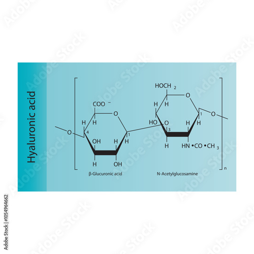 Hyaluronic acid skeletal structure diagram.Polysaccharide  compound molecule scientific illustration.