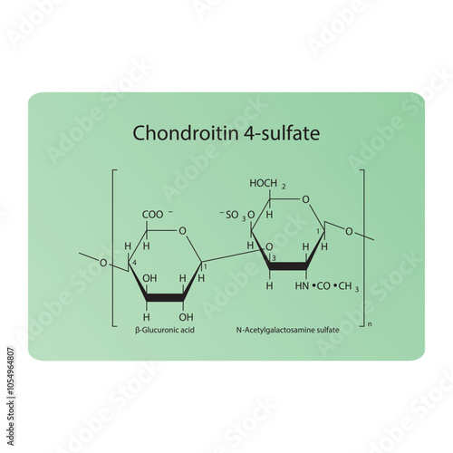 Chondroitin 4-sulfate skeletal structure diagram.Polysaccharide  compound molecule scientific illustration.