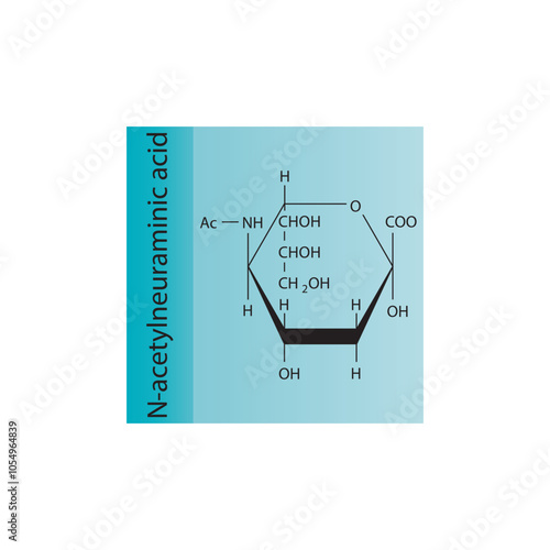 N-acetylneuraminic skeletal structure diagram.Sialic acid compound molecule scientific illustration.
