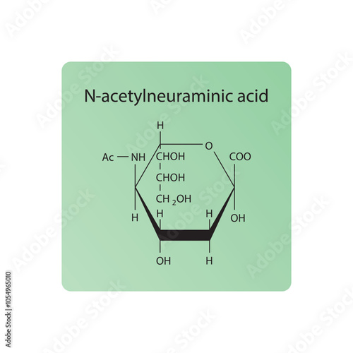 N-acetylneuraminic skeletal structure diagram.Sialic acid compound molecule scientific illustration.